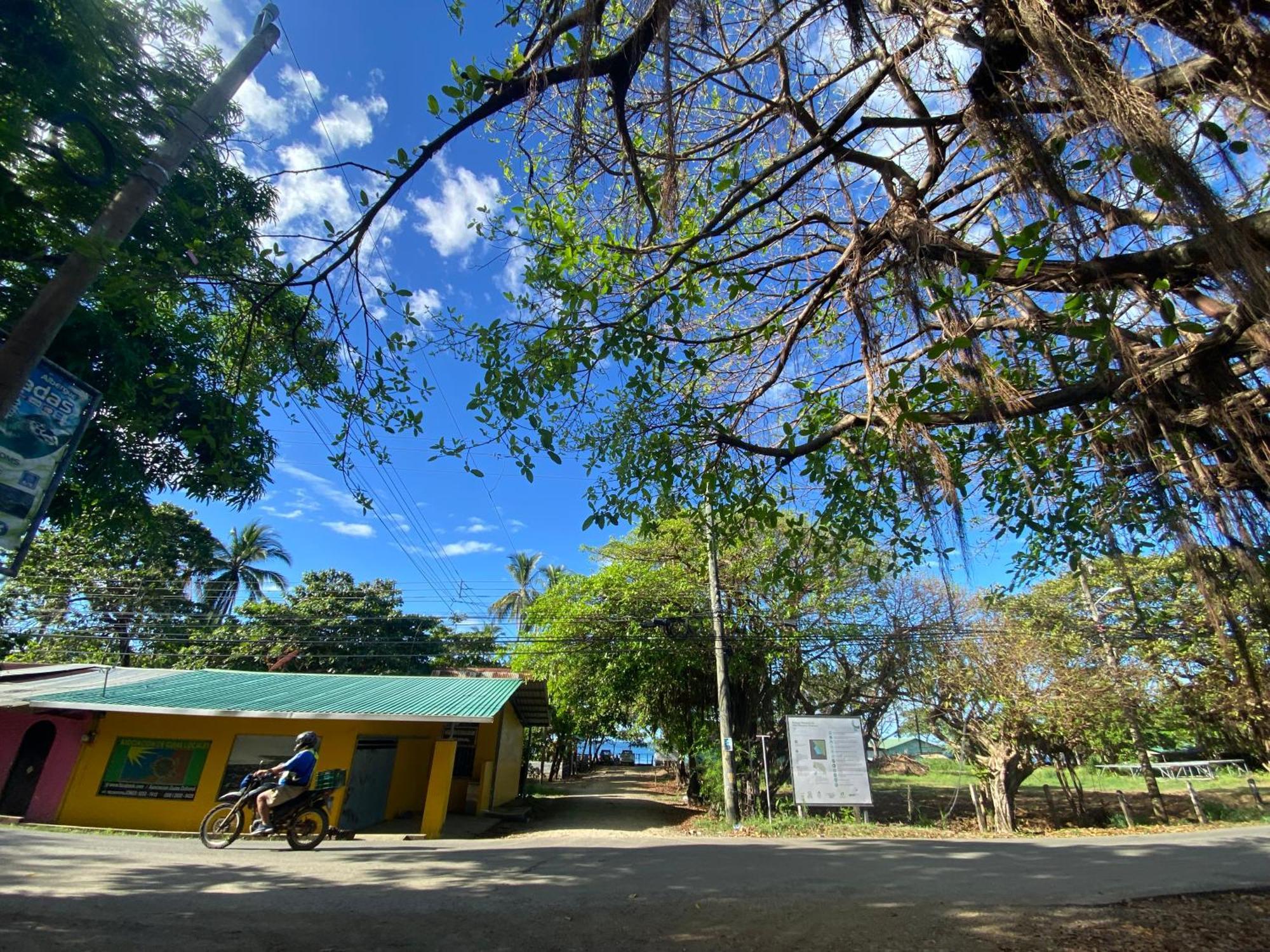 Cabinas Surf Arribadas Ostional Wildlife Refuge Exterior photo